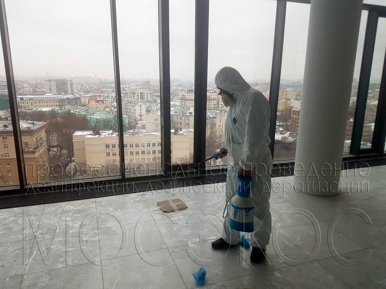 Травля тараканов в квартире в Луховицах с гарантией